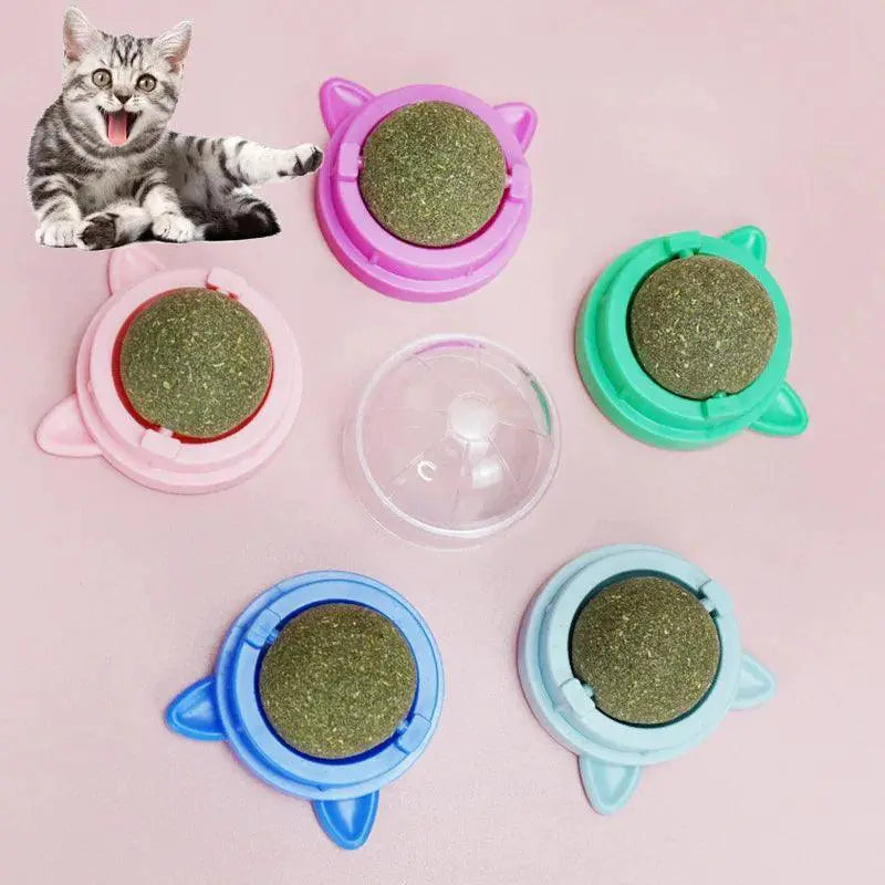 Healthy Cat Catnip Toys Ball for Dental Health Fun