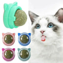 Dental Health Catnip Ball Toy for Cats