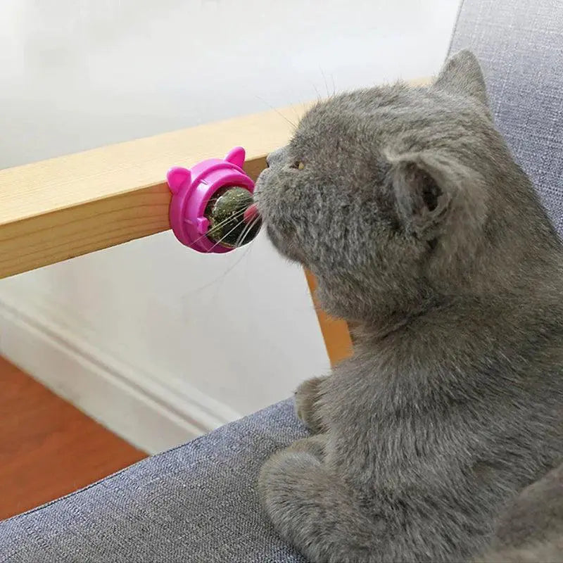 Healthy Cat Catnip Toys Ball for Dental Health Fun