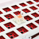 Holy Panda Tactile Switches Premium Mechanical Keyboard Upgrade