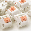 Holy Panda Tactile Switches Premium Mechanical Keyboard Upgrade