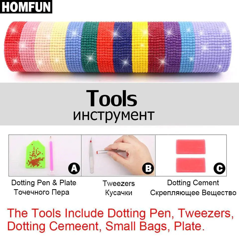 HOMFUN Diamond Painting Kit Personalized DIY Rhinestone Art