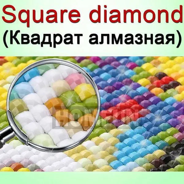 HOMFUN Diamond Painting Kit Personalized DIY Rhinestone Art