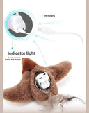 Cat Toy For Curious Cats Play