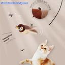 Cat Toy For Curious Cats Play
