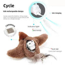 Cat Toy For Curious Cats Play