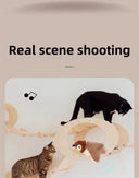 Cat Toy For Curious Cats Play