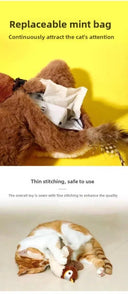 Cat Toy For Curious Cats Play