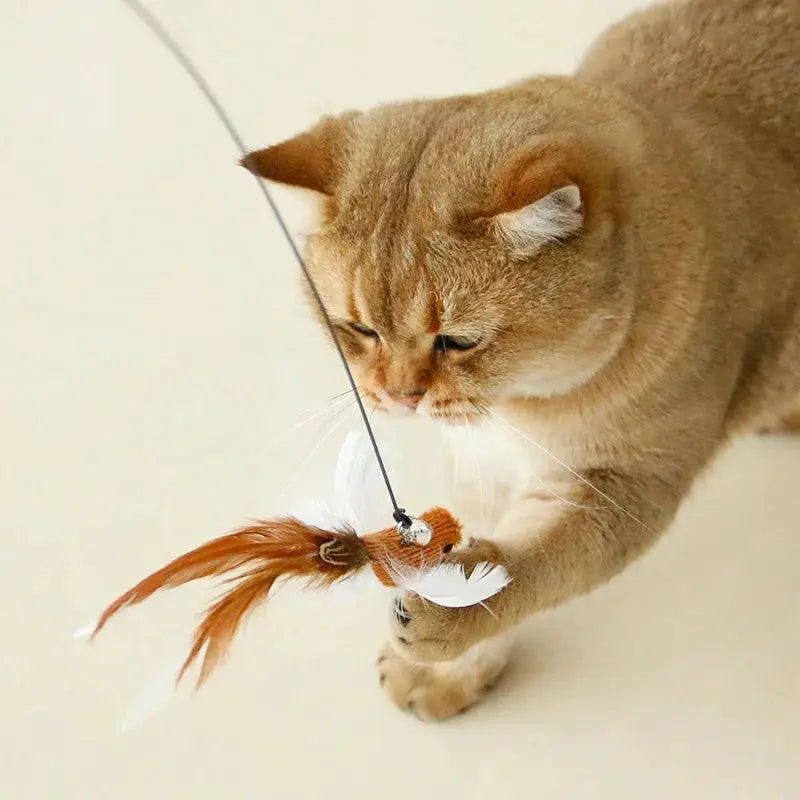Interactive Bird And Feather Cat Wand With Bell Toy