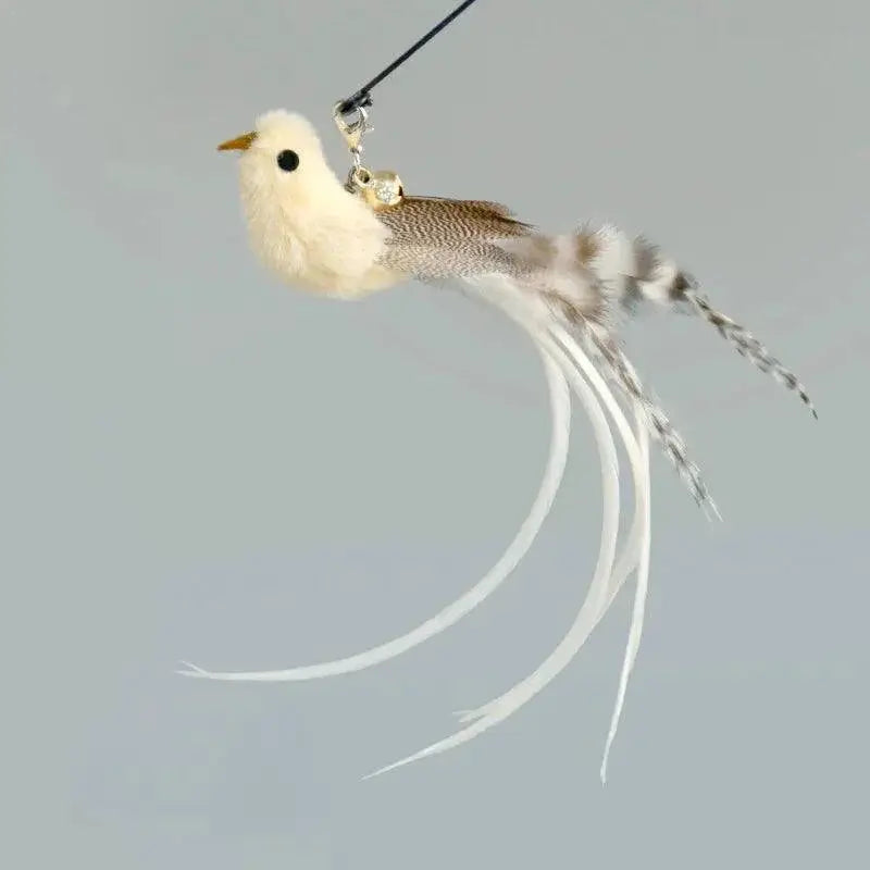 Interactive Bird And Feather Cat Wand With Bell Toy