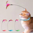 Interactive Cat Teaser Stick Collar Game & Feather Toys Fun