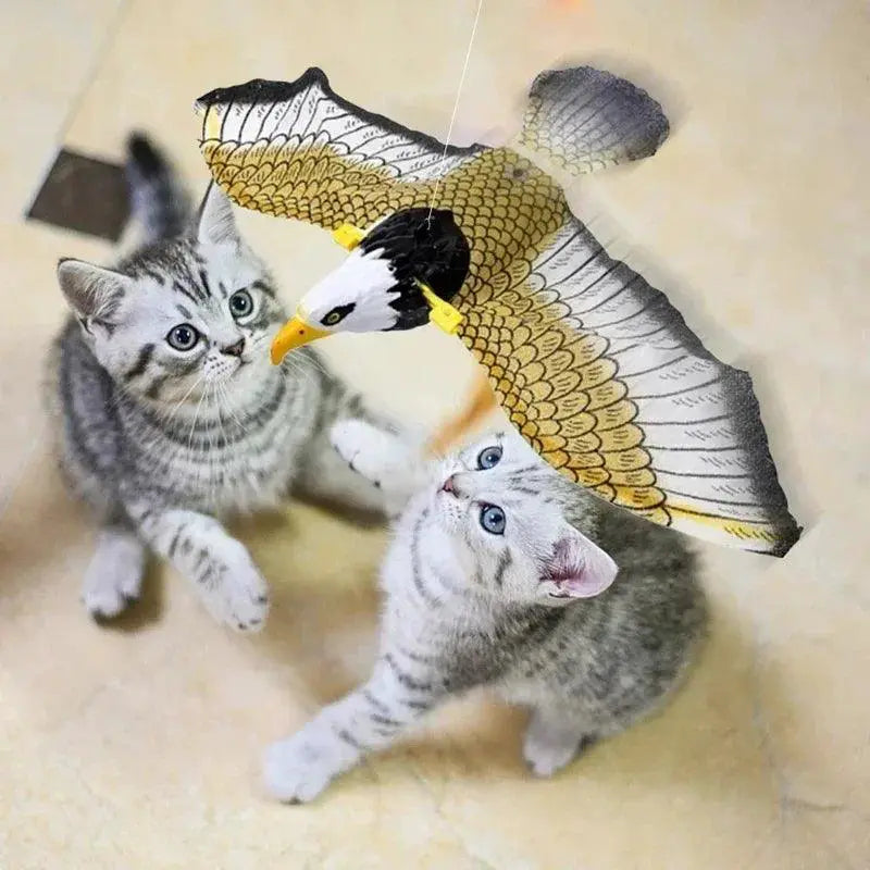 Interactive Hanging Eagle Cat Toy Teaser With Scratch Rope