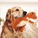 Interactive Plush Dinosaur Dog Chew Toys for Small Dogs