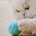 Interactive Smart Cat Toy for Active Felines Playtime