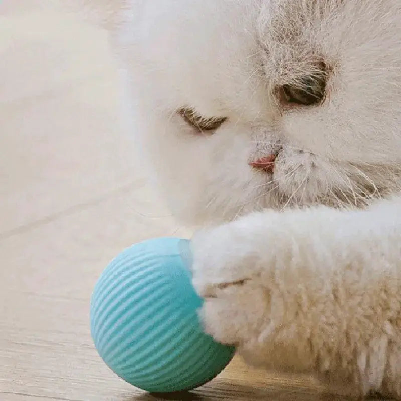 Interactive Smart Cat Toy For Active Felines Playtime
