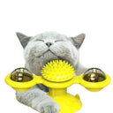 Cat Puzzle Toy for Mental Stimulation