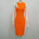 Internet Celebrity Mesh Sleeveless Dress Alluring Statement Piece