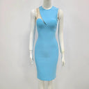 Internet Celebrity Mesh Sleeveless Dress Alluring Statement Piece