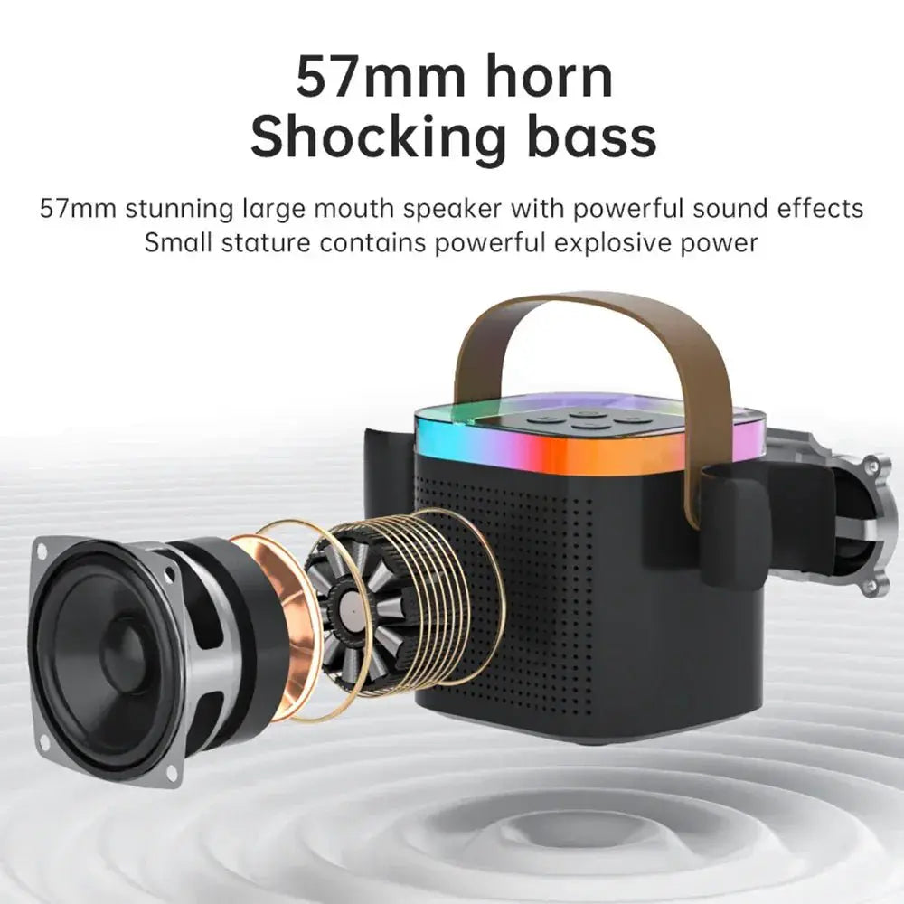 Karaoke Machine Bluetooth PA System With Microphones - OurLum.com