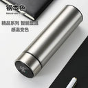 Keeps Heat Thermos Bottle for Desk Use