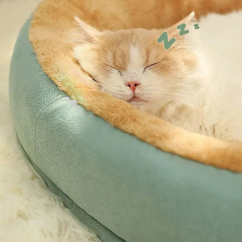 Kimpets Cozy Cat and Dog Bed With Removable Washable Cushion