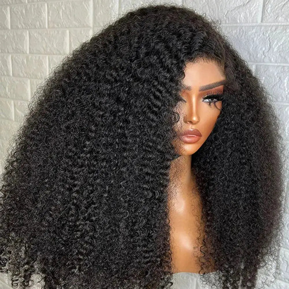 Kinky Curly Indian Remy Lace Front Wig Natural Look