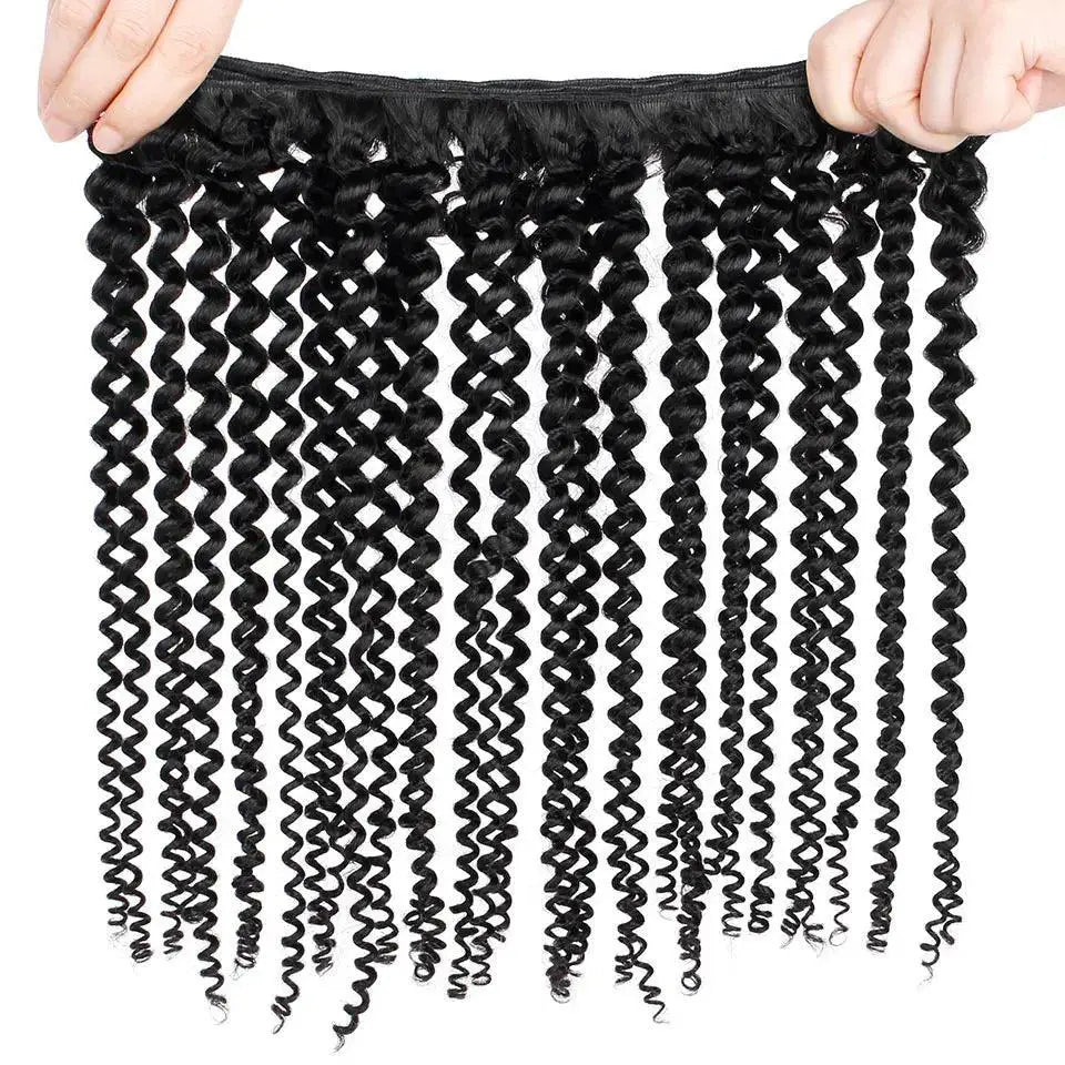 Kinky Curly Virgin Brazilian Hair Bundle For Volume Vivacity
