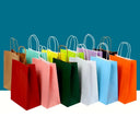 Kraft Colored Paper Gift Bags With Handles, 10 30 50 Pack For Jewelry Weddings Party