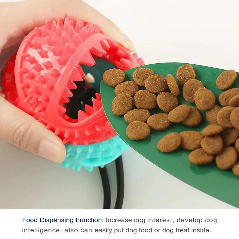Large Dog Interactive Toy for Healthy Chew and Clean Teeth