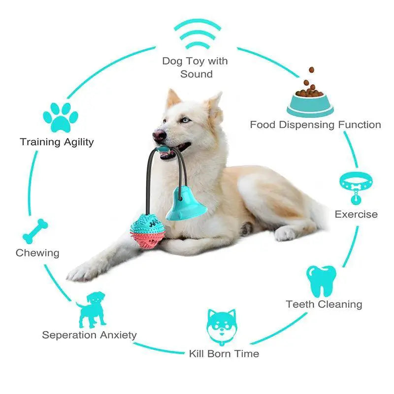 Large Dog Interactive Toy for Healthy Chew and Clean Teeth
