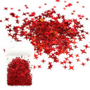 Laser Star Holographic Nail Art Sequins Sparkly DIY Kit