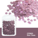 Laser Star Holographic Nail Art Sequins Sparkly DIY Kit