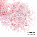 Laser Star Holographic Nail Art Sequins Sparkly DIY Kit