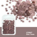 Laser Star Holographic Nail Art Sequins Sparkly DIY Kit