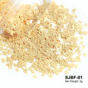 Laser Star Holographic Nail Art Sequins Sparkly DIY Kit