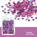 Laser Star Holographic Nail Art Sequins Sparkly DIY Kit
