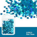 Laser Star Holographic Nail Art Sequins Sparkly DIY Kit