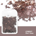 Laser Star Holographic Nail Art Sequins Sparkly DIY Kit