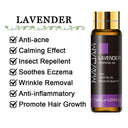 Lavender Vanilla Myrrh Aromatherapy Oil Blend Pure Plant Extract