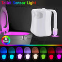 LED Motion Sensor Toilet Night Light 8 Colors Bowl Lighting