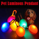 LED Pet Safety Collar: Night Walking Glowing Pendant Flash