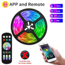 LED RGB Neon Lights Dynamic Music Sync App Control Decor