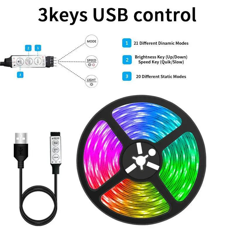LED RGB Neon Lights With Music Sync And App Control