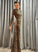 Leopard Print Dress: Stylish High Collar Fashion 2024