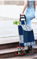 Lightweight Grocery Cart for Travel Use