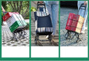 Lightweight Grocery Cart for Travel Use