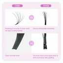 Long Easy Fanning False Lashes Kit for Effortless Extensions