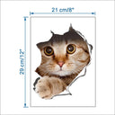 Lovely Pet 3D Wall Decals Stylish Eco-friendly Home Decor