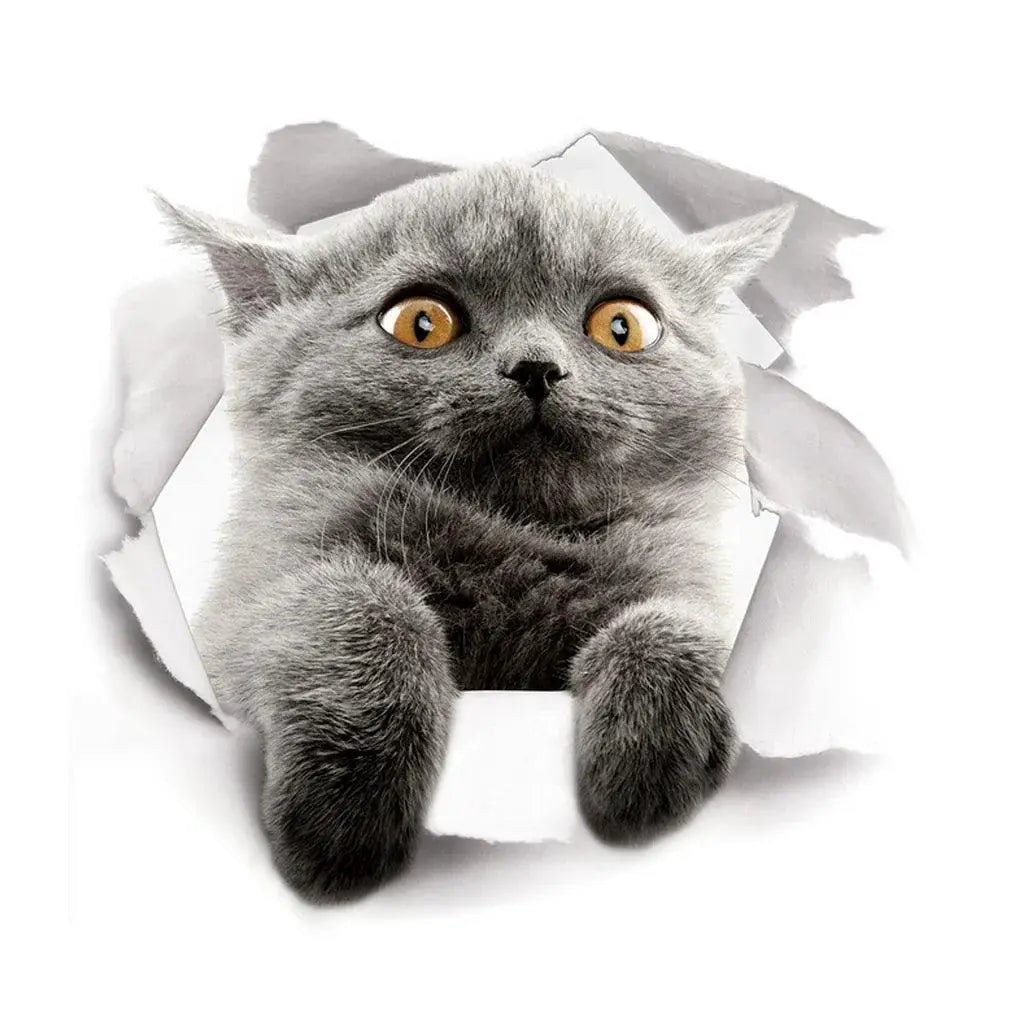 Lovely Pet 3D Wall Decals Eco Friendly Home Decor Kids Room