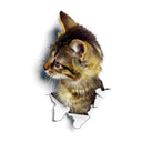 Lovely Pet 3D Wall Decals Stylish Eco-friendly Home Decor